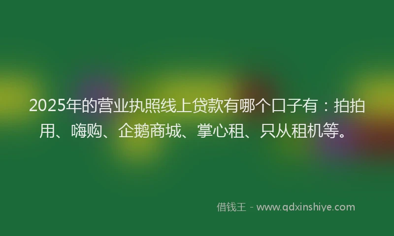 2025年的营业执照线上贷款有哪个口子有：拍拍用、嗨购、企鹅商城、掌心租、只从租机等。