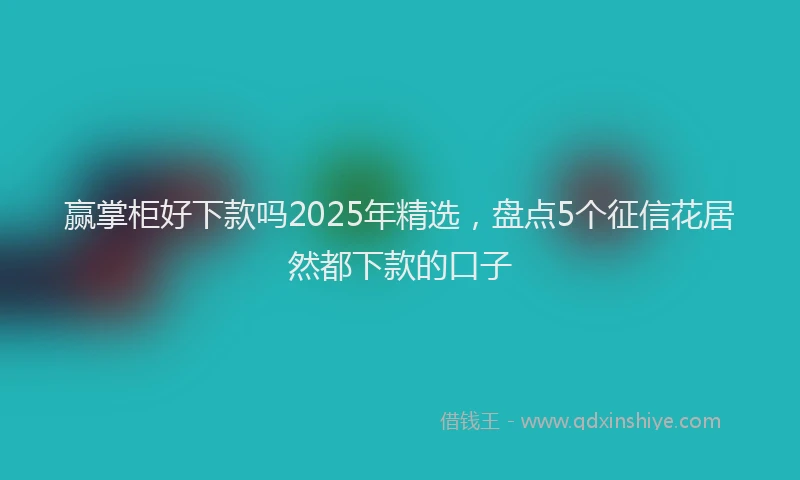 赢掌柜好下款吗2025年精选，盘点5个征信花居然都下款的口子