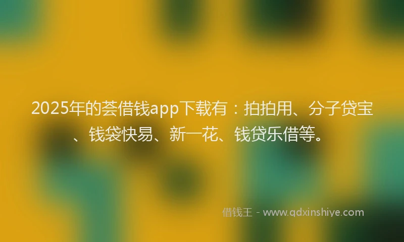 2025年的荟借钱app下载有：拍拍用、分子贷宝、钱袋快易、新一花、钱贷乐借等。