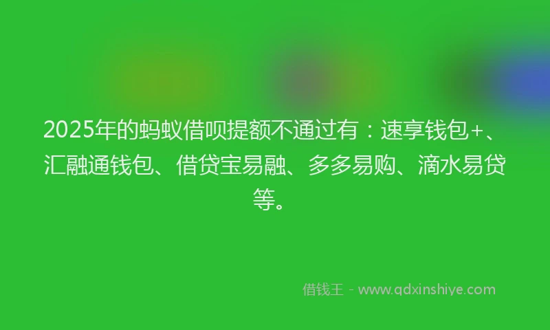 2025年的蚂蚁借呗提额不通过有：速享钱包+、汇融通钱包、借贷宝易融、多多易购、滴水易贷等。