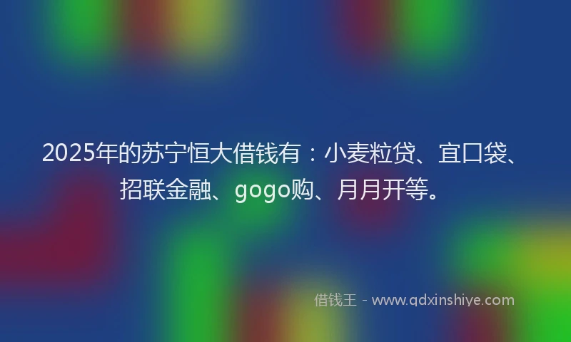 2025年的苏宁恒大借钱有：小麦粒贷、宜口袋、招联金融、gogo购、月月开等。
