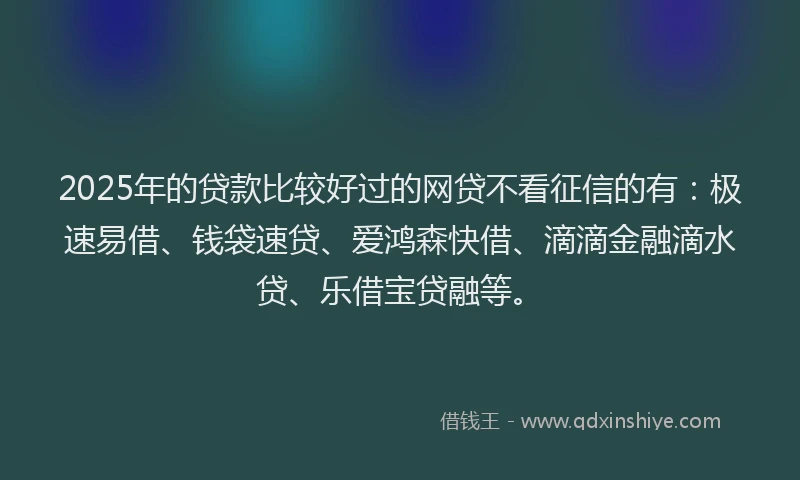 2025年的贷款比较好过的网贷不看征信的有：极速易借、钱袋速贷、爱鸿森快借、滴滴金融滴水贷、乐借宝贷融等。