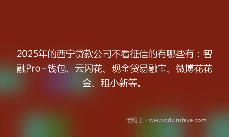 2025年的西宁贷款公司不看征信的有哪些有：智融Pro+钱包、云闪花、现金贷易融宝、微博花花金、租小新等。