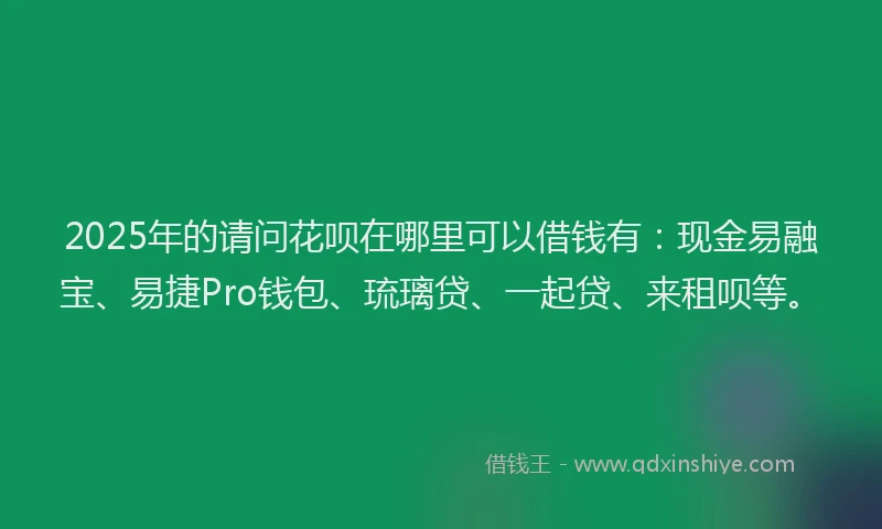 2025年的请问花呗在哪里可以借钱有：现金易融宝、易捷Pro钱包、琉璃贷、一起贷、来租呗等。