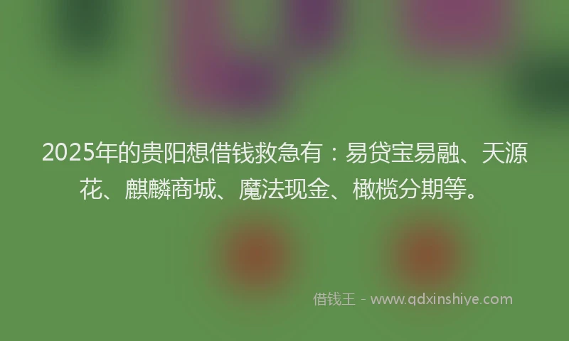 2025年的贵阳想借钱救急有：易贷宝易融、天源花、麒麟商城、魔法现金、橄榄分期等。