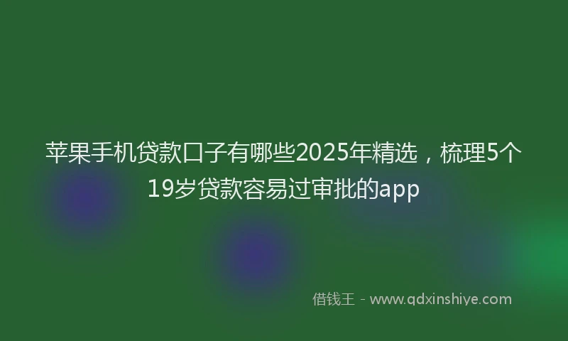 苹果手机贷款口子有哪些2025年精选，梳理5个19岁贷款容易过审批的app