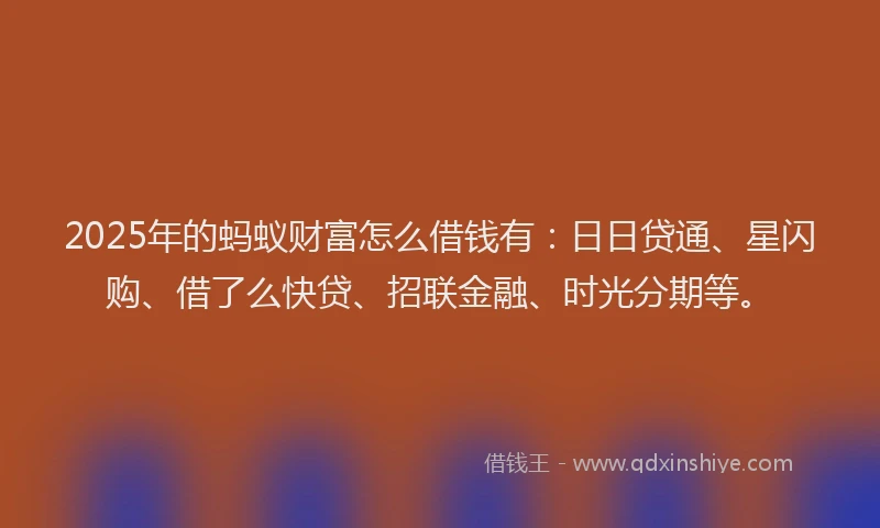 2025年的蚂蚁财富怎么借钱有：日日贷通、星闪购、借了么快贷、招联金融、时光分期等。