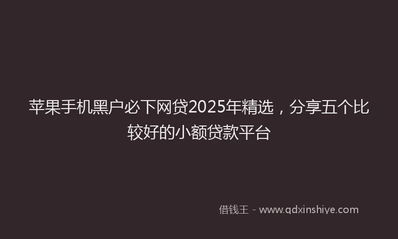 苹果手机黑户必下网贷2025年精选，分享五个比较好的小额贷款平台
