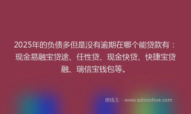 2025年的负债多但是没有逾期在哪个能贷款有：现金易融宝贷途、任性贷、现金快贷、快捷宝贷融、瑞信宝钱包等。