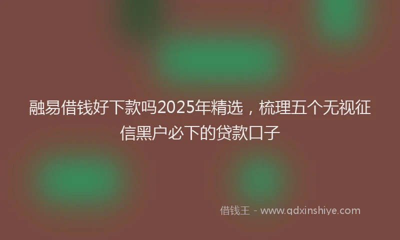 融易借钱好下款吗2025年精选，梳理五个无视征信黑户必下的贷款口子