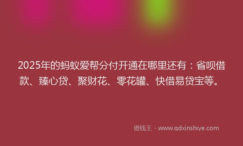 2025年的蚂蚁爱帮分付开通在哪里还有：省呗借款、臻心贷、聚财花、零花罐、快借易贷宝等。