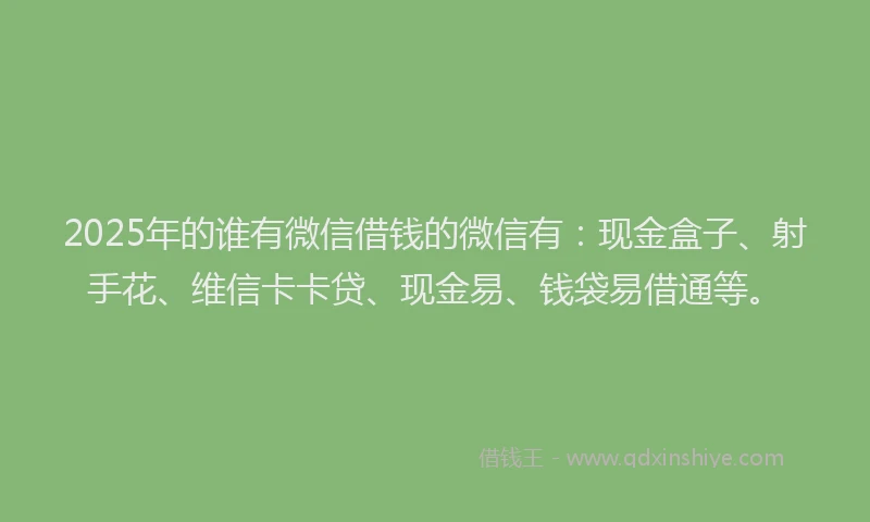 2025年的谁有微信借钱的微信有：现金盒子、射手花、维信卡卡贷、现金易、钱袋易借通等。