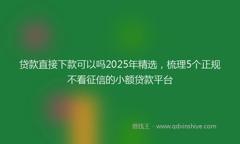 贷款直接下款可以吗2025年精选，梳理5个正规不看征信的小额贷款平台