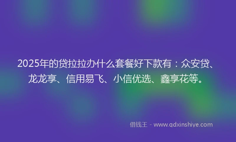 2025年的贷拉拉办什么套餐好下款有：众安贷、龙龙享、信用易飞、小信优选、鑫享花等。