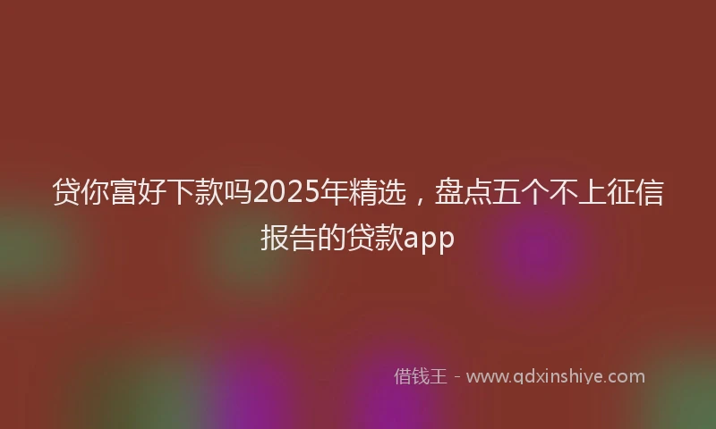 贷你富好下款吗2025年精选，盘点五个不上征信报告的贷款app