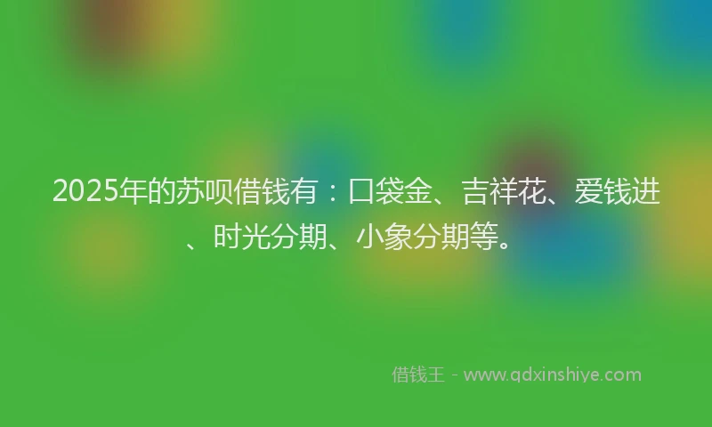 2025年的苏呗借钱有：口袋金、吉祥花、爱钱进、时光分期、小象分期等。