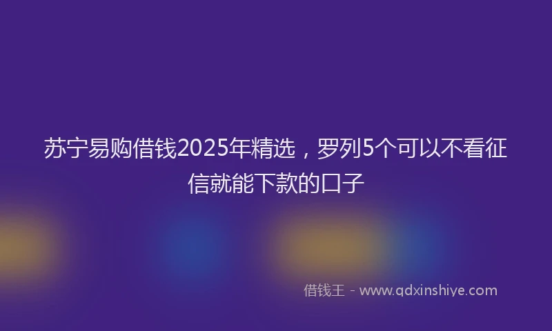 苏宁易购借钱2025年精选，罗列5个可以不看征信就能下款的口子