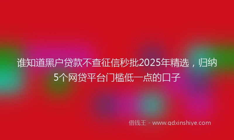 谁知道黑户贷款不查征信秒批2025年精选，归纳5个网贷平台门槛低一点的口子