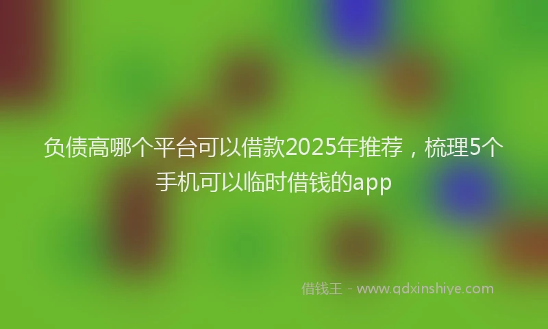 负债高哪个平台可以借款2025年推荐，梳理5个手机可以临时借钱的app