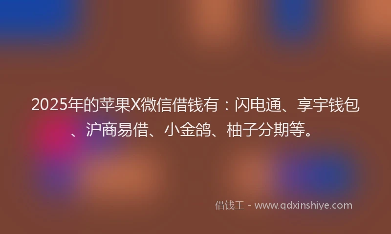 2025年的苹果X微信借钱有：闪电通、享宇钱包、沪商易借、小金鸽、柚子分期等。
