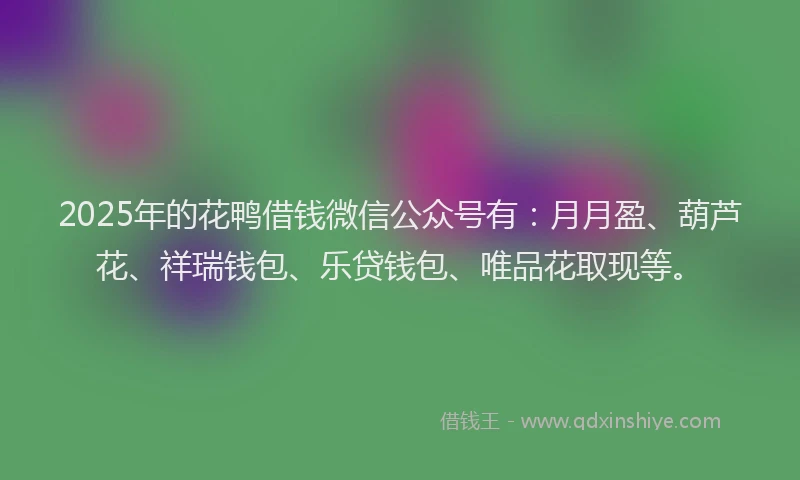 2025年的花鸭借钱微信公众号有：月月盈、葫芦花、祥瑞钱包、乐贷钱包、唯品花取现等。