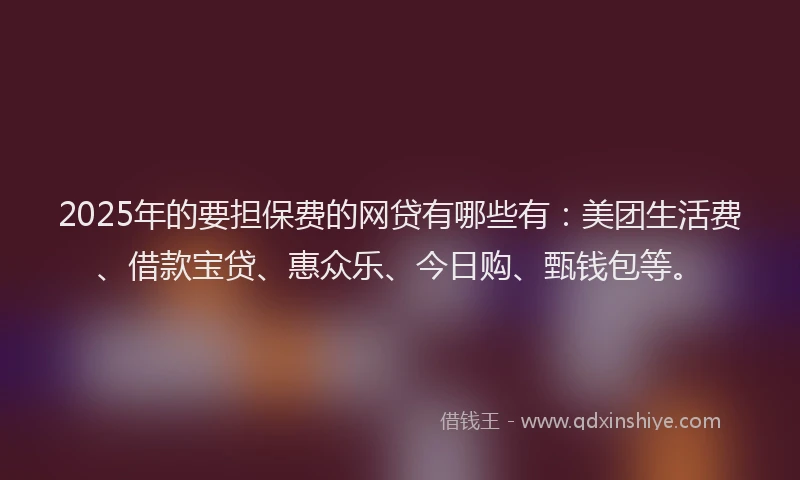 2025年的要担保费的网贷有哪些有：美团生活费、借款宝贷、惠众乐、今日购、甄钱包等。