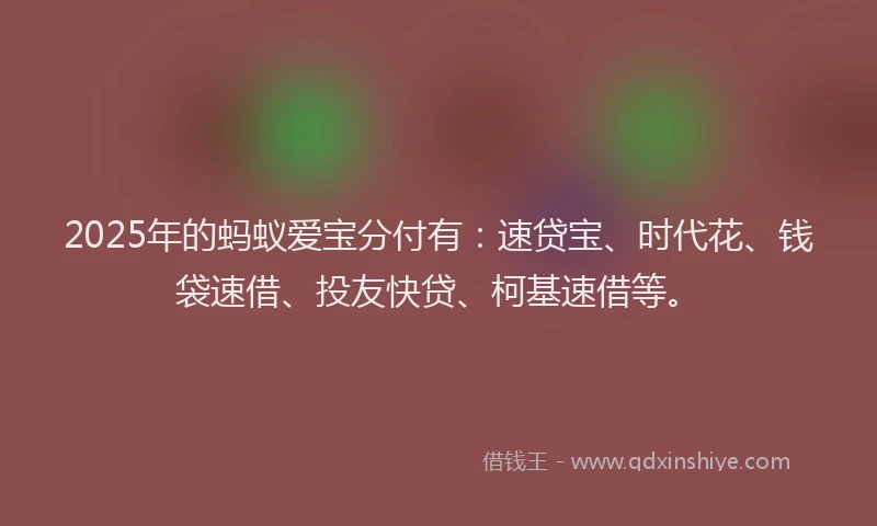 2025年的蚂蚁爱宝分付有：速贷宝、时代花、钱袋速借、投友快贷、柯基速借等。