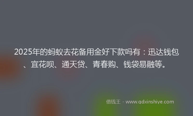 2025年的蚂蚁去花备用金好下款吗有：迅达钱包、宜花呗、通天贷、青春购、钱袋易融等。