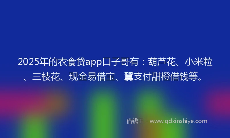2025年的衣食贷app口子哥有：葫芦花、小米粒、三枝花、现金易借宝、翼支付甜橙借钱等。