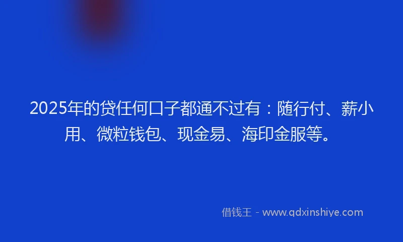 2025年的贷任何口子都通不过有：随行付、薪小用、微粒钱包、现金易、海印金服等。