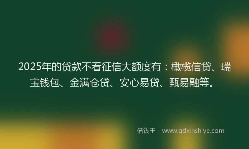 2025年的贷款不看征信大额度有：橄榄信贷、瑞宝钱包、金满仓贷、安心易贷、甄易融等。