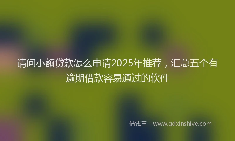 请问小额贷款怎么申请2025年推荐，汇总五个有逾期借款容易通过的软件