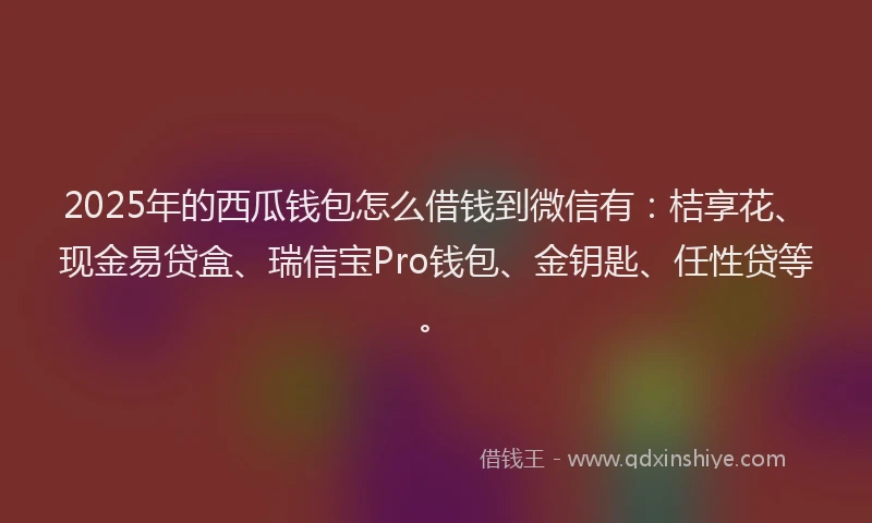 2025年的西瓜钱包怎么借钱到微信有：桔享花、现金易贷盒、瑞信宝Pro钱包、金钥匙、任性贷等。