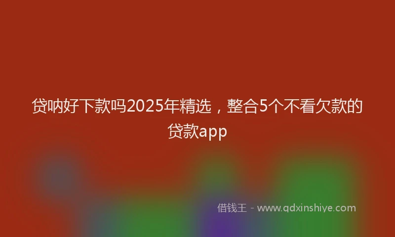 贷呐好下款吗2025年精选，整合5个不看欠款的贷款app