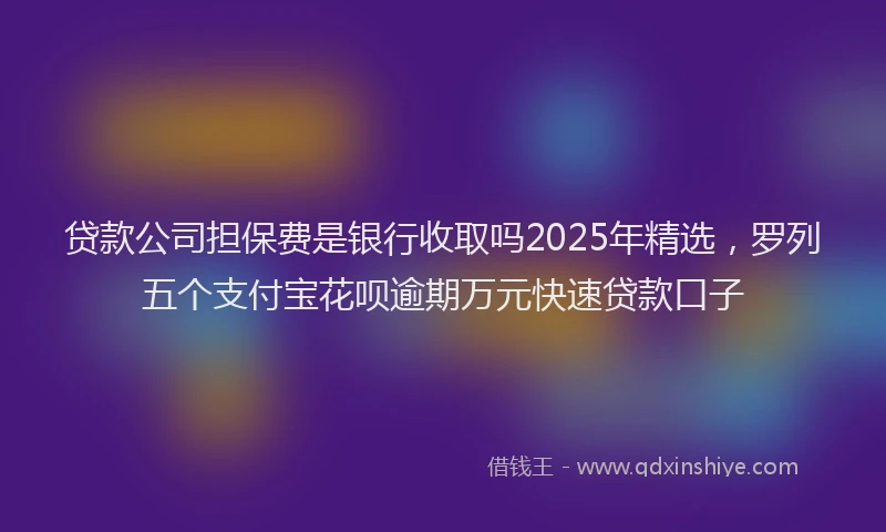 贷款公司担保费是银行收取吗2025年精选，罗列五个支付宝花呗逾期万元快速贷款口子