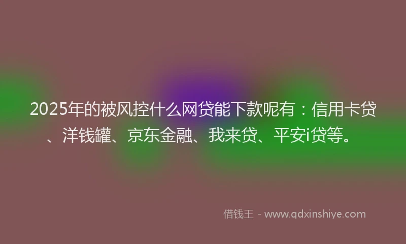 2025年的被风控什么网贷能下款呢有：信用卡贷、洋钱罐、京东金融、我来贷、平安i贷等。