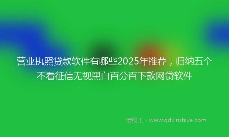 营业执照贷款软件有哪些2025年推荐，归纳五个不看征信无视黑白百分百下款网贷软件
