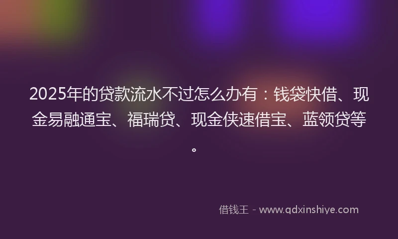 2025年的贷款流水不过怎么办有：钱袋快借、现金易融通宝、福瑞贷、现金侠速借宝、蓝领贷等。