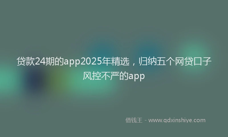 贷款24期的app2025年精选，归纳五个网贷口子风控不严的app
