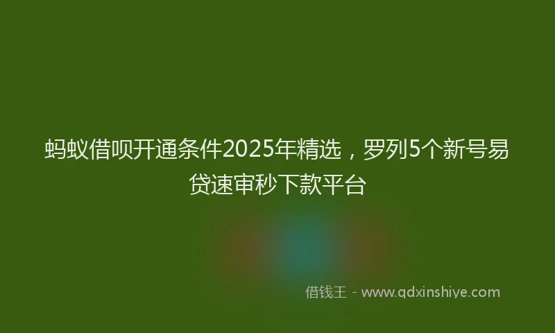 蚂蚁借呗开通条件2025年精选，罗列5个新号易贷速审秒下款平台
