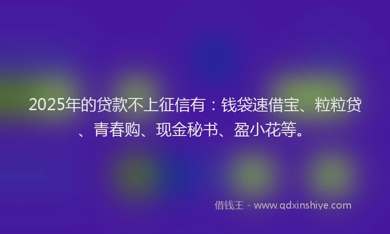 2025年的贷款不上征信有：钱袋速借宝、粒粒贷、青春购、现金秘书、盈小花等。