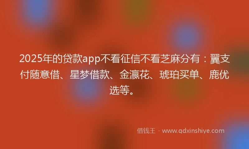 2025年的贷款app不看征信不看芝麻分有：翼支付随意借、星梦借款、金瀛花、琥珀买单、鹿优选等。