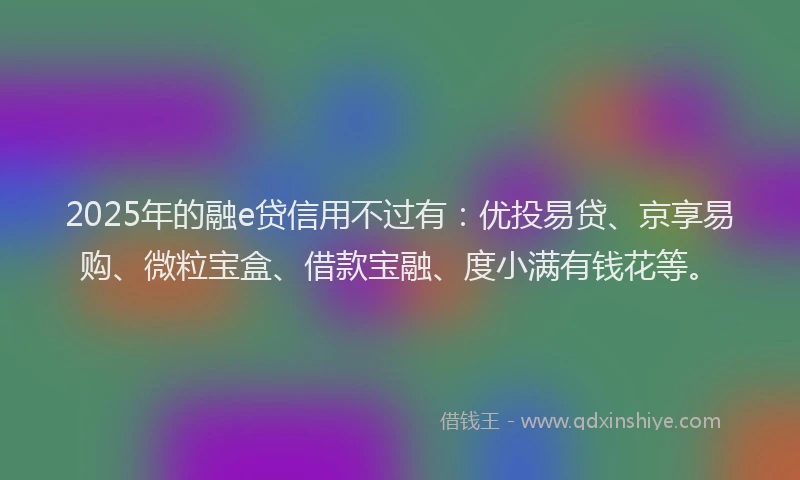 2025年的融e贷信用不过有：优投易贷、京享易购、微粒宝盒、借款宝融、度小满有钱花等。