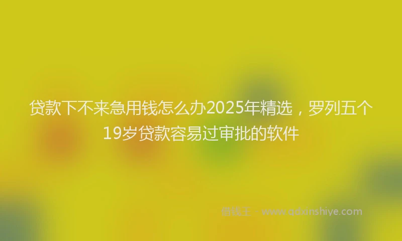 贷款下不来急用钱怎么办2025年精选，罗列五个19岁贷款容易过审批的软件