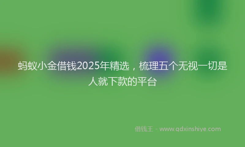 蚂蚁小金借钱2025年精选，梳理五个无视一切是人就下款的平台