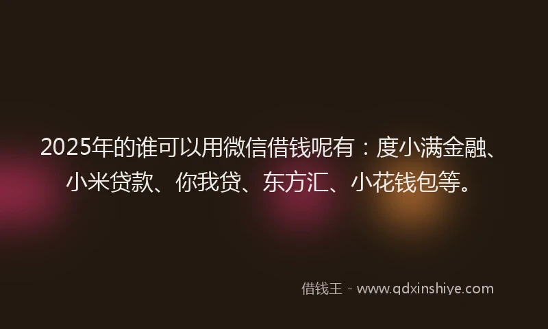 2025年的谁可以用微信借钱呢有：度小满金融、小米贷款、你我贷、东方汇、小花钱包等。