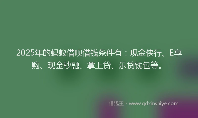 2025年的蚂蚁借呗借钱条件有：现金侠行、E享购、现金秒融、掌上贷、乐贷钱包等。