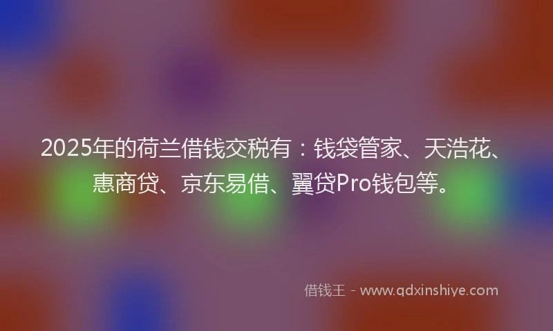 2025年的荷兰借钱交税有：钱袋管家、天浩花、惠商贷、京东易借、翼贷Pro钱包等。