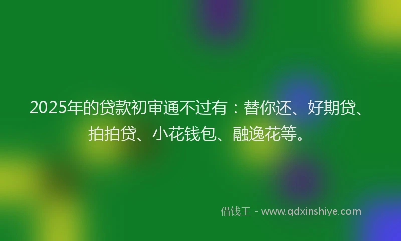 2025年的贷款初审通不过有：替你还、好期贷、拍拍贷、小花钱包、融逸花等。