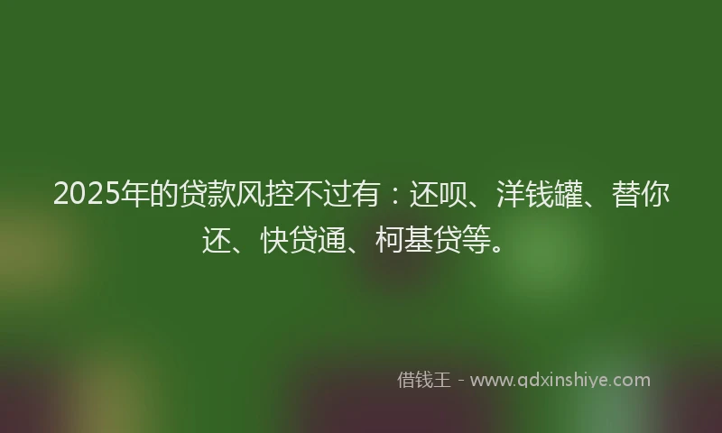 2025年的贷款风控不过有：还呗、洋钱罐、替你还、快贷通、柯基贷等。